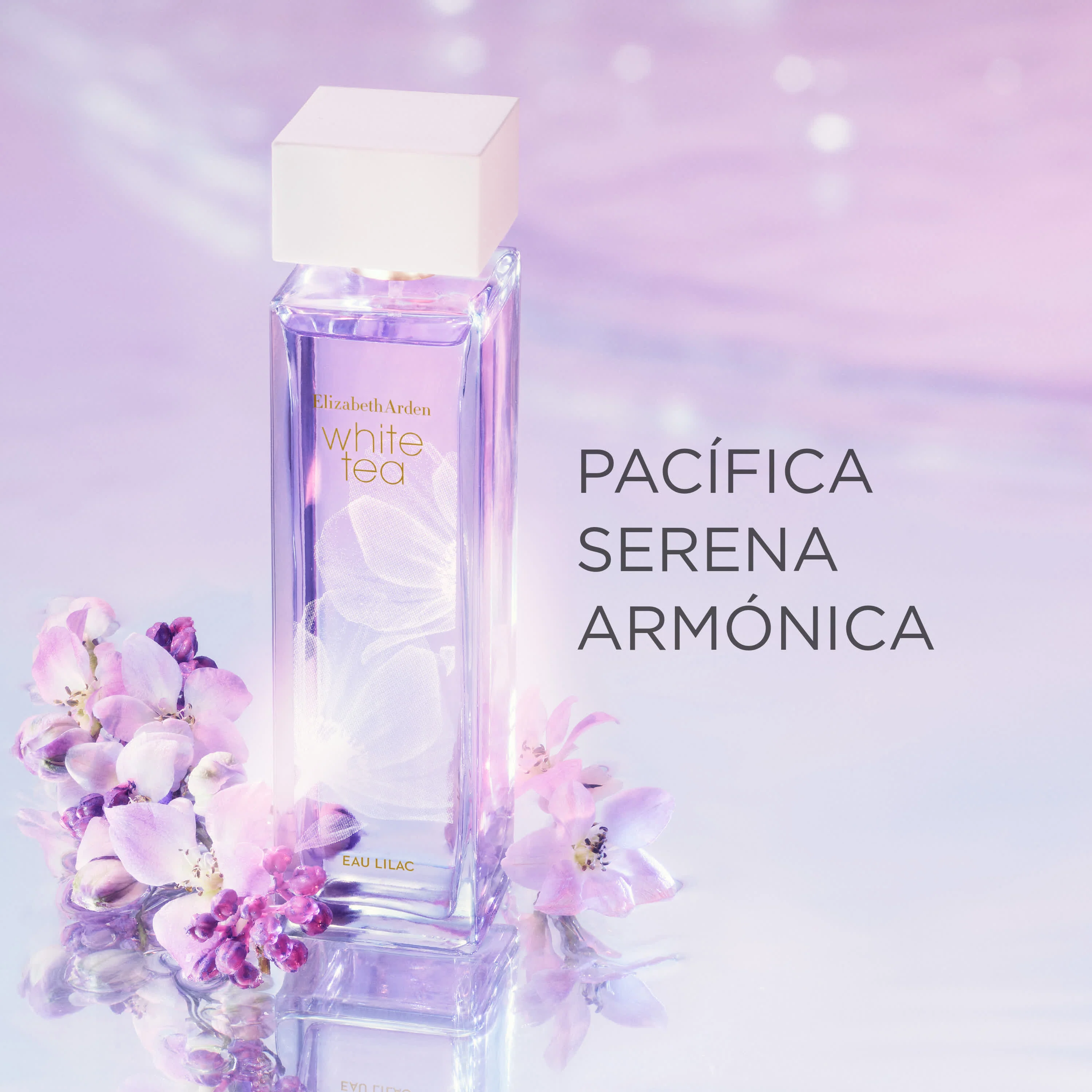 Imagen del producto 8